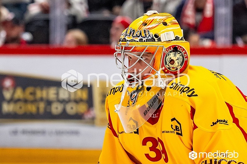 24.11.2024 - Lausanne HC - SCL Tigers