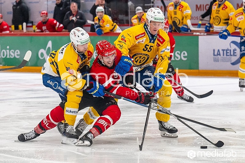 31.01.2025 - Lausanne HC - HC Davos